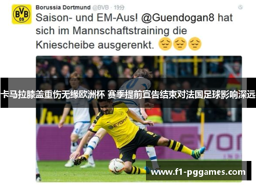 卡马拉膝盖重伤无缘欧洲杯 赛季提前宣告结束对法国足球影响深远 卡马拉膝盖重伤无缘欧洲杯 赛季提前宣告结束对法国足球影响深远